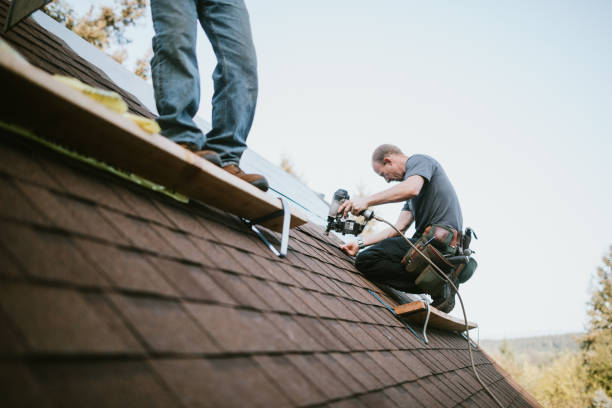 Best Flat Roof Repair Services  in Lasalle, IL